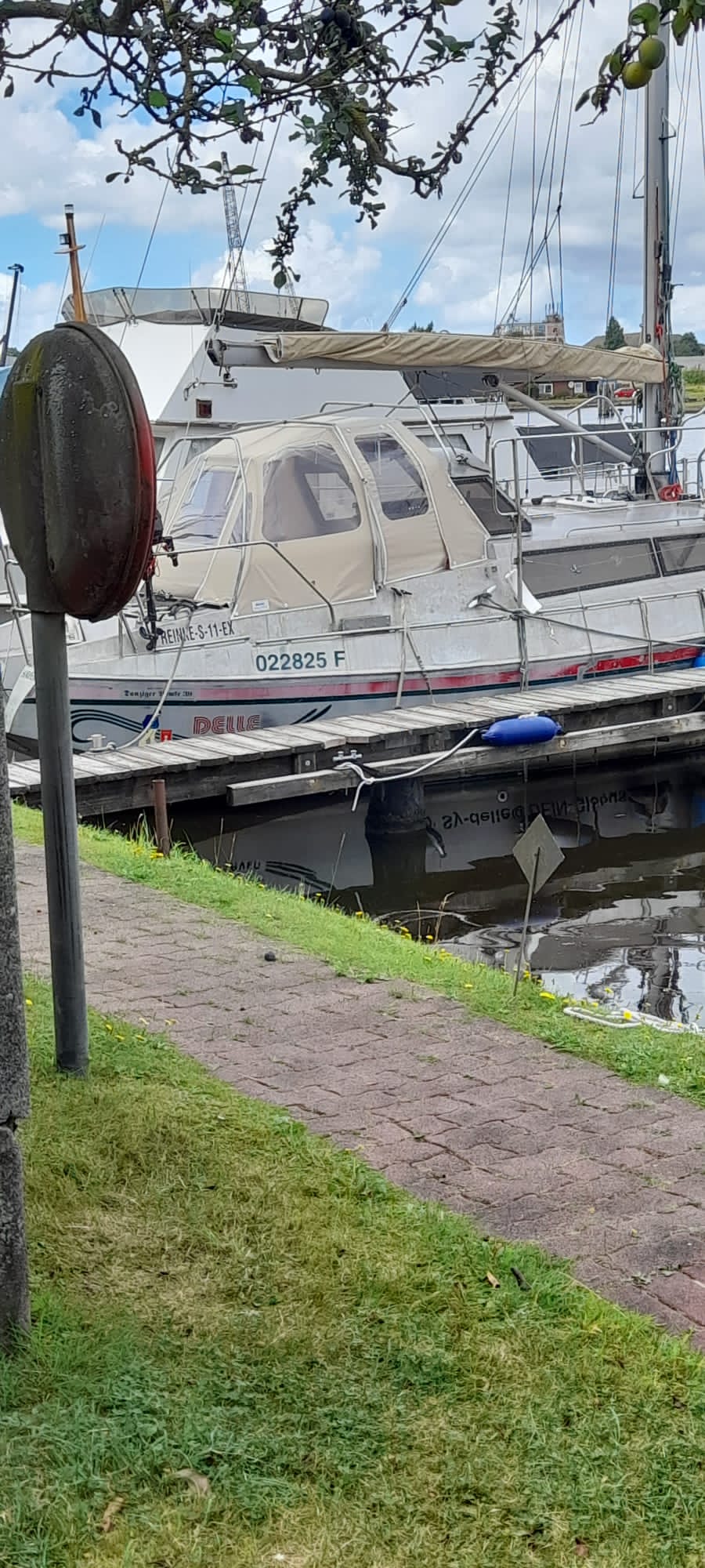 8 David Stb ohne