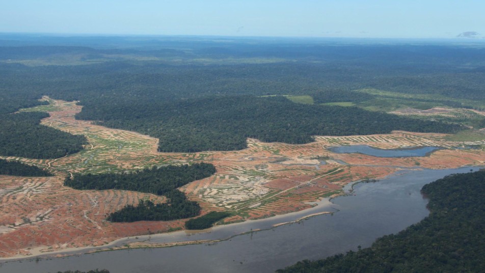 Brasiliems Regenwald
